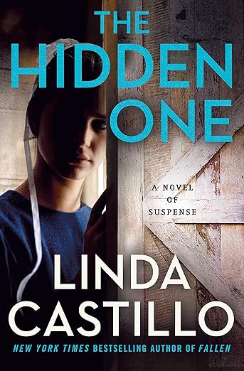 The Hidden One: A Novel of Suspense (Kate Burkholder, 14)