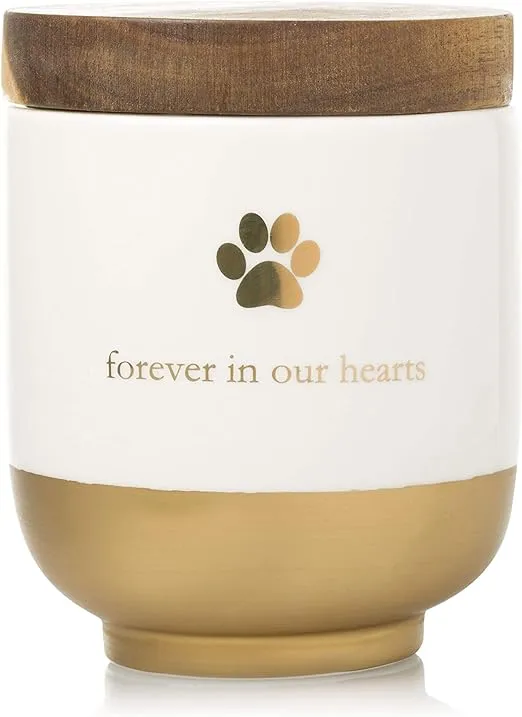 Pearhead Pet Ceramic Forever in Our Hearts Urn, Pet Memorial, Dog Or Cat Keepsake Urn, Rainbow Bridge, Gold