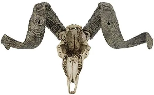 Design Toscano Corsican Ram Skull and Horns Wall Sculpture Faux Taxidermy Animal Trophy, 19 Inch, Cast Stone Resin, Painted Bone Finish