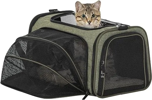 Petsfit Expandable Rabbit Carrier Small Cat Carrier Airline Approved, 16X10X9 Inches Soft-Sided Portable Small Animal Travel Bag for Kitten/Puppy/Bunny/Guinea Pig