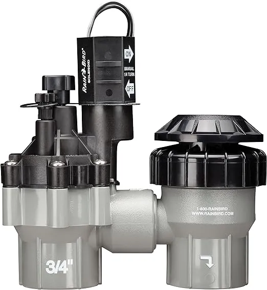 Rain Bird DASASVF075 Professional Grade Anti-Siphon Valve with Flow Control, 3/4" Threaded Female x Female