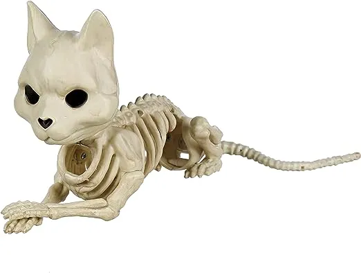 Crazy Bonez Cute Skeleton Cat