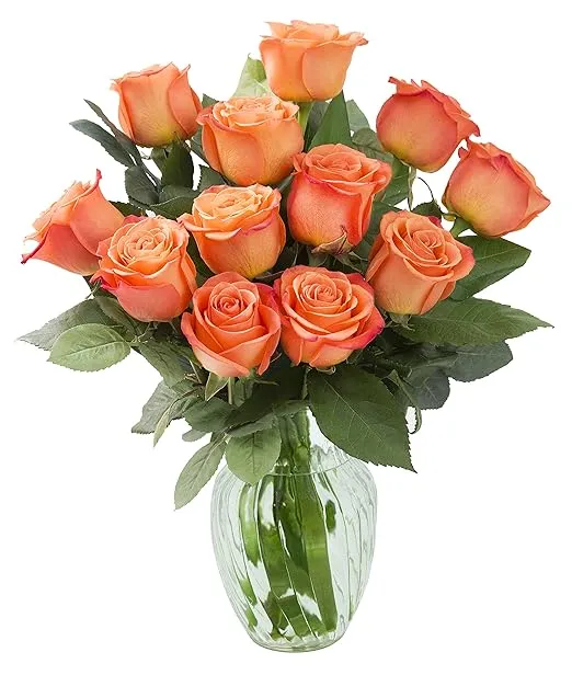 KaBloom PRIME NEXT DAY DELIVERY - Fall Collection - Bouquet of 12 Fresh Orange Roses (Farm-Fresh, Long-Stem) with Vase.Gift for Birthday, Anniversary, Thank You, Valentine, Mother’s Day Fresh Flowersb