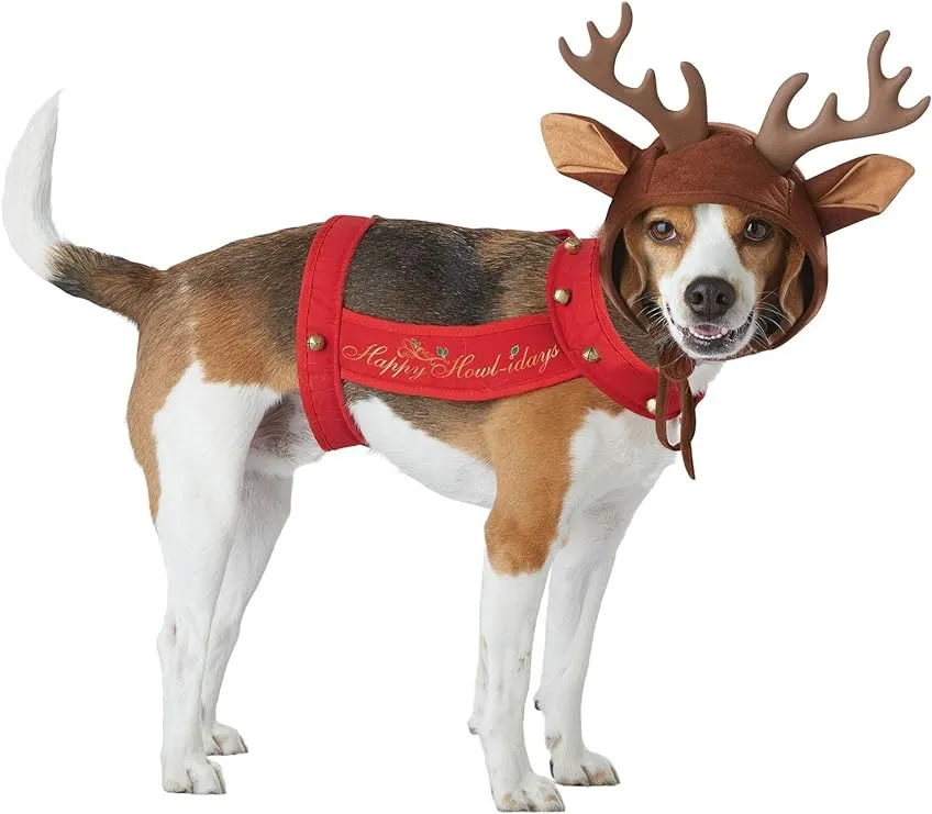 California Costumes Dog Reindeer Costume, Medium