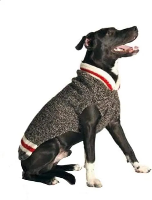 Boyfriend Dog Sweater (Medium)