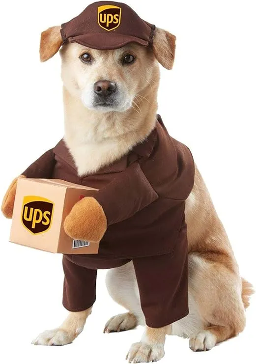 UPS Dog Costume X-Small Brown