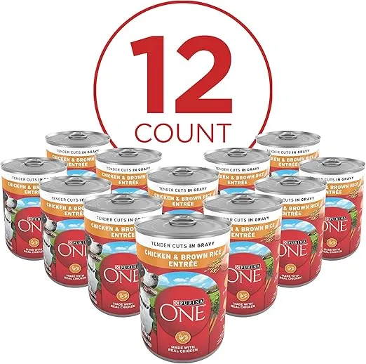 Purina ONE Tender Cuts in Wet Dog Food Gravy Chicken and Brown Rice Entree - (Pack of 12) 13 oz. Cans