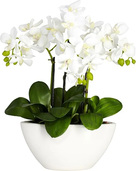Nearly Natural Phalaenopsis Silk Flower Arrangement