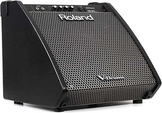 Roland PM-200 Compact Electronic V-Drum Set Monitor, 180-Watt