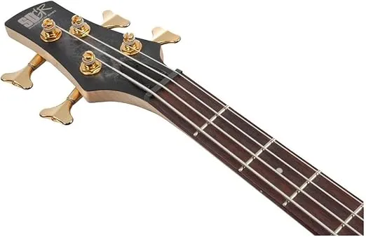 Ibanez SR Standard 4-string Electric Bass - Black Ice Frozen Matte