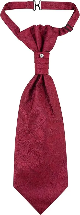 Vesuvio Napoli PreTied ASCOT Solid PAISLEY Color Cravat Men's Neck Tie 21 Colors
