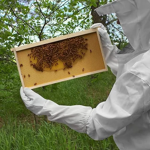 Honey Keeper Beekeeping Gloves, Large - Goatskin Leather with Canvas Sleeve and Elastic Cuff
