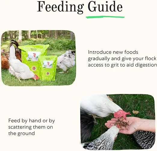 Grubblies - Black Soldier Fly Larvae for Chickens - Nourishing Daily Chicken Treats - for Strong Eggshells and Healthy Feathers - Grubblies World Harvest 5LB