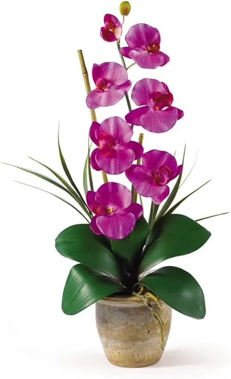 Nearly Natural Phalaenopsis Silk Orchid Flower Arrangement