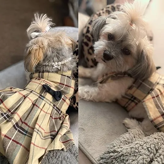 PUPTECK Classic Plaid Dog Dress Cute Puppy Clothes Outfit Small