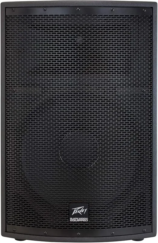 Peavey SP 2 1000-Watt 2-Way PA Speaker