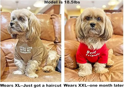 Cute Dog Clothes,Dog T Shirt for Medium Dogs.Dog Clothes for Small Dogs Girl Boy,Puppy.Breathable Soft Dog Costume Pet Dogs Cats,Pet Pullover Jumper,Cat Clothes (M-(7~11lb), Chest~16", Khaki)
