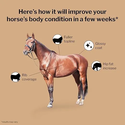 Formula 707 Weight Gain Crumble Equine Supplement, 7lb Bucket – Palatable, Calorie-Rich Nutritional Support for Hard-to-Keep and Senior Horses
