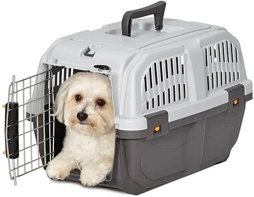 MidWest Homes for Pets Skudo Plastic Carrier, 19-Inch Ideal for "Toy" Dogs with an Adult Weight up to 6 Pounds