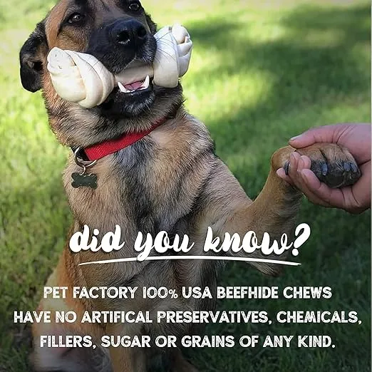 Pet Factory 100% Made in USA Beefhide 6" Knotted Bones Dog Chew Treats - Beef Flavor, 12 Count/1 Pack