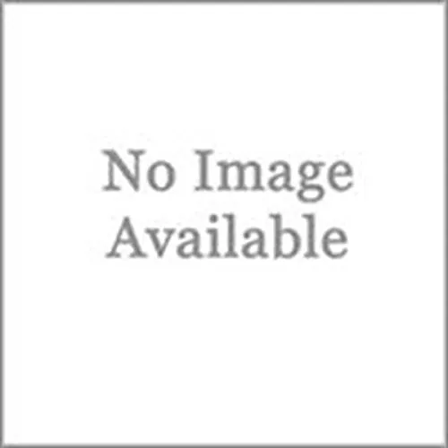 30" x 42" Aluminum 3,300 lb Pallet Jack Loading Dock Plate