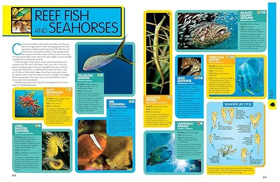 National Geographic Kids Animal Encyclopedia, 2nd Edition: 2,500 Animals with Photos, Maps, and More!