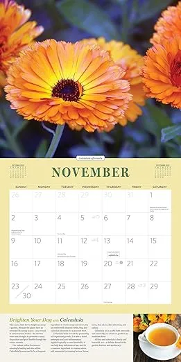 Rosemary Gladstar's Herbs for Healing Wall Calendar 2025: Remedies and Recipes for a Year of Holistic Self-Care