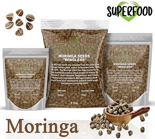Moringa Seeds Wingless 1 oz. - PKM1 Variety - Edible Snacking - Planting - Moringa Oleifera - Malunggay - Semillas De Moringa - Drumstick Tree - Non-GMO - 100 to 125 Seeds