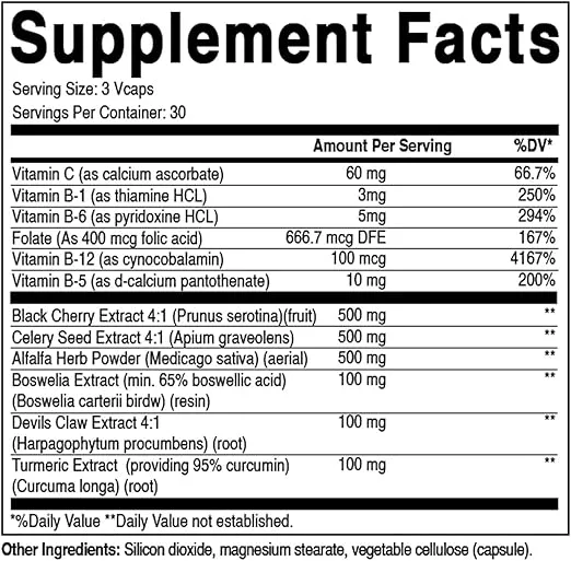 Best Naturals Uric Acid Cleanse Vitamins for Men and Women - 90 Veggie Capsules (90 Count (Pack of 2))