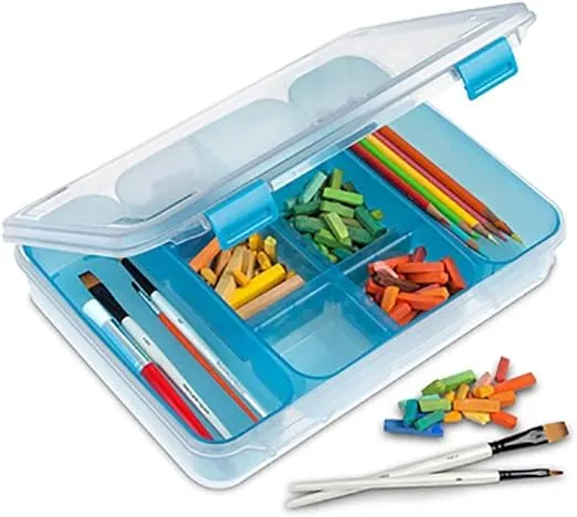 STERILITE Divided Case, Multicolor