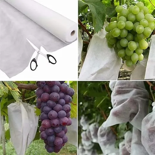Agfabric Plant Covers Freeze Protection 10'x10' 0.9oz Floating Row Cover Garden Plant Cover Freeze Cloths for Plants Winter Frost Pests Protection,White