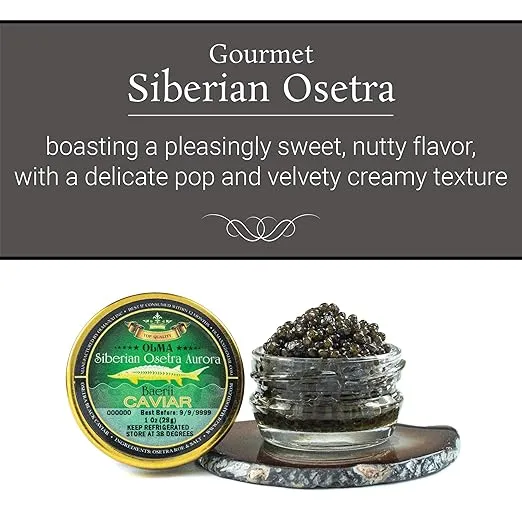 OVERNIGHT GUARANTEED - OLMA Siberian Osetra Aurora Black Caviar - Medium Grain Pearls, Superior Grade - 1 oz / 28 g