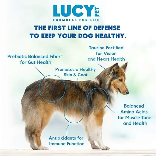 Lucy Pet Products Formulas for Life Duck, Pumpkin & Quinoa Dry Dog Food, All Life Stages, Digestive Health, Sensitive Stomach and Skin, 4.5lb bag