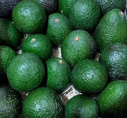 20 Pack Fresh California Hass Avocados (20 Pack)