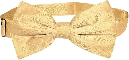 Vesuvio Napoli BOWTIE Gold Color Paisley Color Men's Bow Tie for Tuxedo or Suit