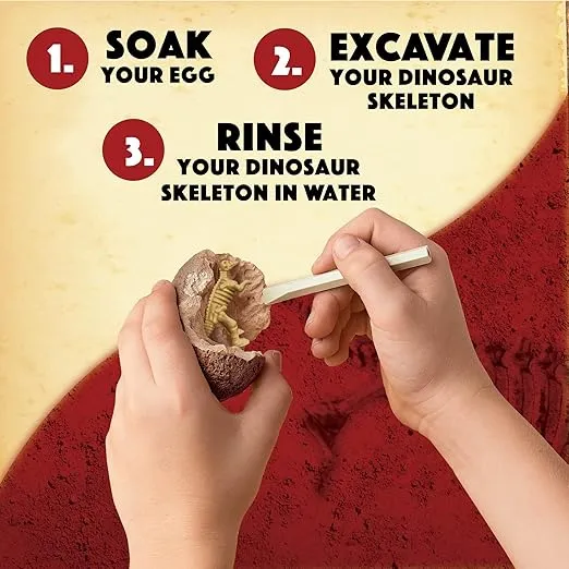 MindWare Dig It Up! Dinosaur Skeleton Eggs Excavation kit - Comes with 12 Clay Eggs, 12 Chisel Tools and 12 Instruction Sheets