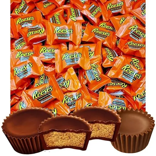 Reeses Peanut Butter Miniature Cups Candy - Peanut Butter covered in Rich Milk Chocolate - individually wrapped - Bulk Pack (1 Pound)