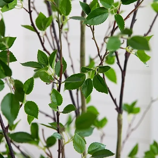Nearly Natural 7ft. Minimalist Citrus Artificial Tree