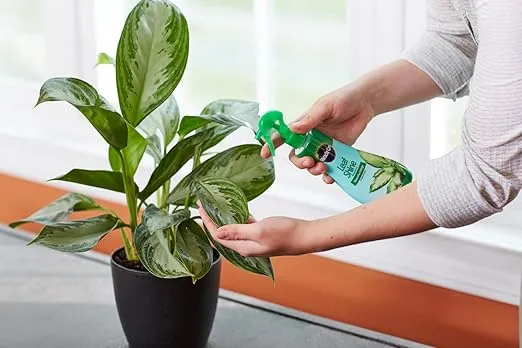Miracle-Gro Leaf Shine, 8-Ounce Green