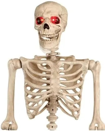 Crazy Bonez Talking Pose-N-Stay Skeleton