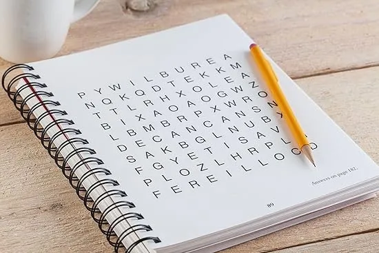 Brain Games - Word Searches - Large Print (Red)