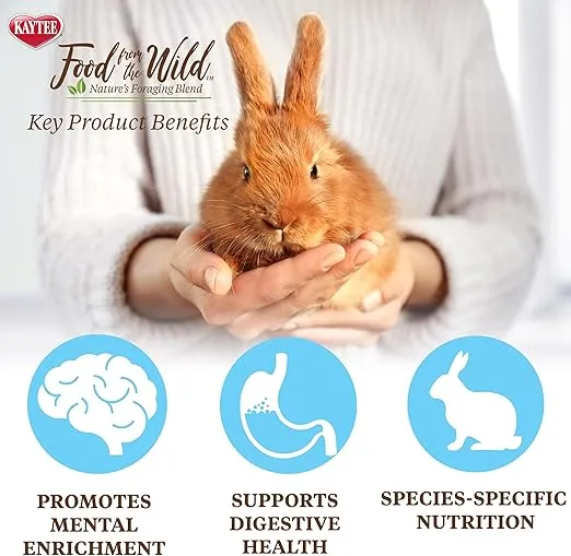 Kaytee Food from The Wild Natural Pet Rabbit Food, 4 Pound