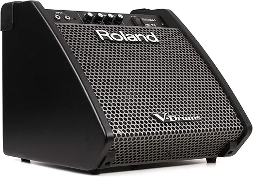 Roland PM-100 Compact Electronic V-Drum Set Monitor, 80-Watt,Black