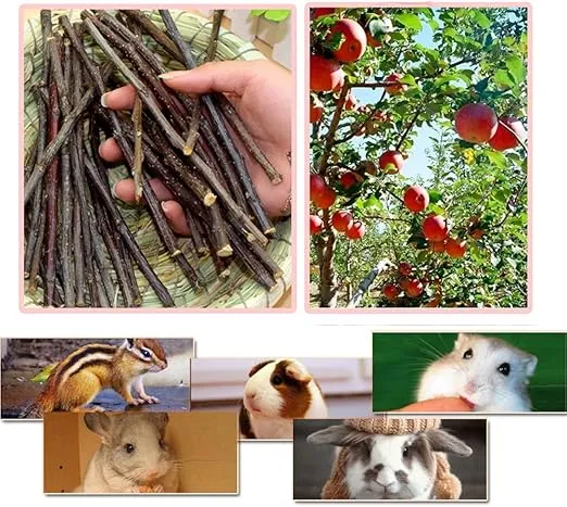 sharllen 100g (3.5oz) Apple Sticks Pet Snacks Chew Toys for Guinea Pigs Chinchilla Squirrel Rabbits Hamster