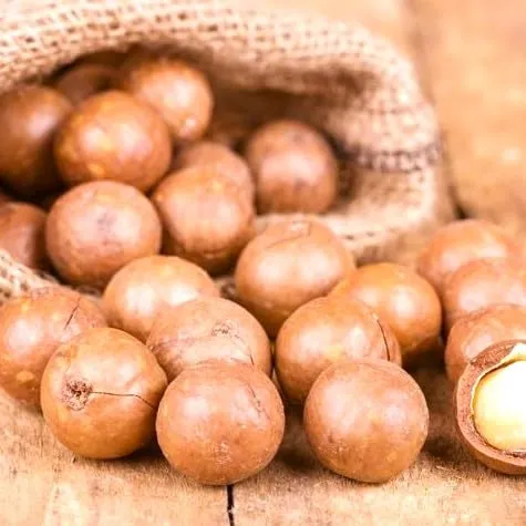Macadamia Nuts - In shell (whole) (2 LB)
