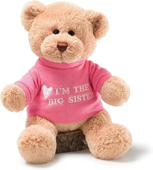 GUND “I’m The Big Sister” Message Bear with Pink T-Shirt, Teddy Bear Stuffed Animal for Ages 1 and Up, Brown, 12”
