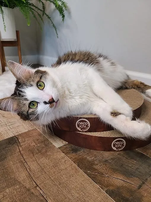 Necoichi Cat Scratcher Bowl Replacement for Indoor Cats - Cat Scratching Lounger with Reversible Usability and Extra Comfort for Lounge, Cardboard Bed Couch / (Regular, Dark Cherry)