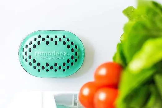 remodeez Refrigerator Deodorizer Eliminator, Nontoxic Coconut, Activated Charcoal, Natural Air Fresheners, Moisture & Odor Absorber for Fridge (Green)