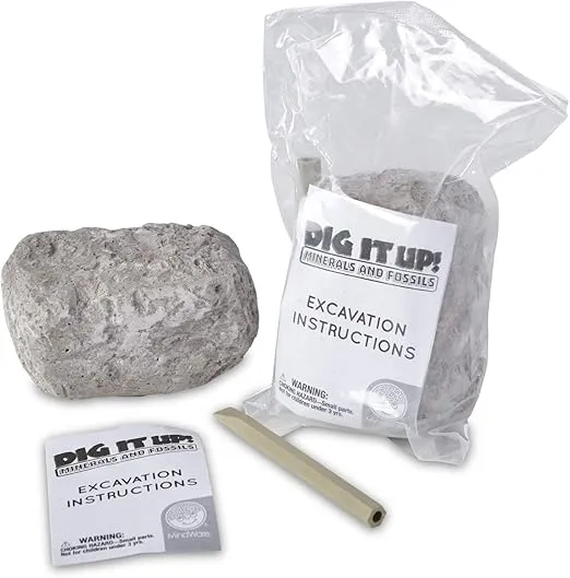 Dig It Up! Fossils & Minerals