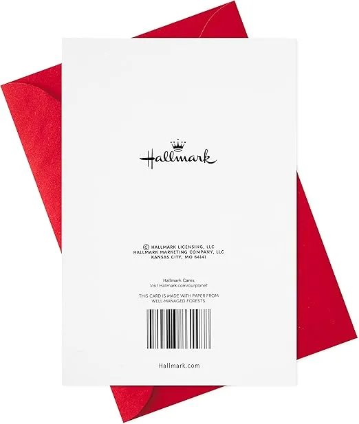 Hallmark Pack of Valentines Day Cards, Patterned Hearts (6 Valentine's Day Cards with Envelopes)